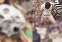 തെന്മലയില് കാടിനുള്ളില് തലയോട്ടിയും അസ്ഥികൂട അവശിഷ്ടങ്ങളും കണ്ടെത്തി